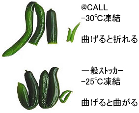 CUCUMBER-IMG.JPG - 8,859BYTES